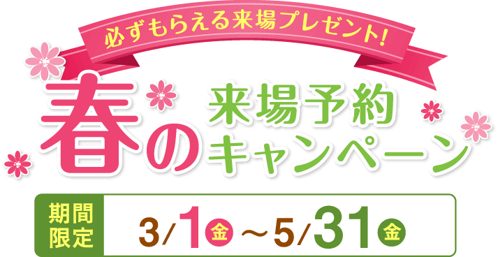 夏の来場予約キャンペーン 丸和建設株式会社